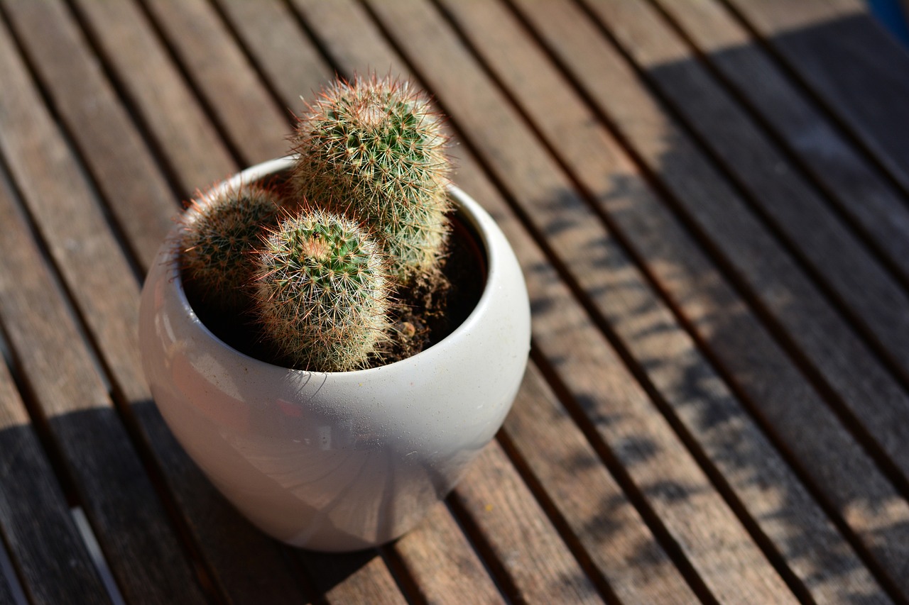 Homemade Plant Pots from Recycled Materials